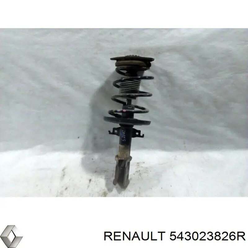 Amortyzator przedni Renault (RVI) 543023826R cena, od 65,39 USD