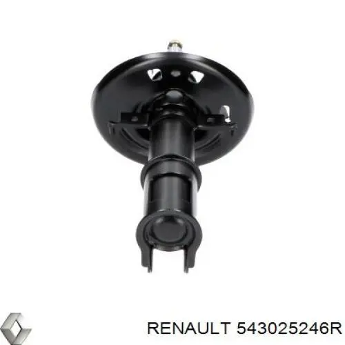 Do koszyka 543025246R Renault (RVI) Amortyzator przedni