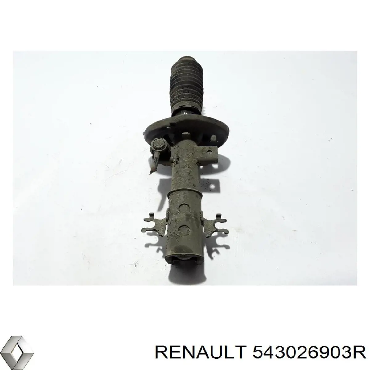 543026903R Renault (RVI) Amortyzator przedni prawy