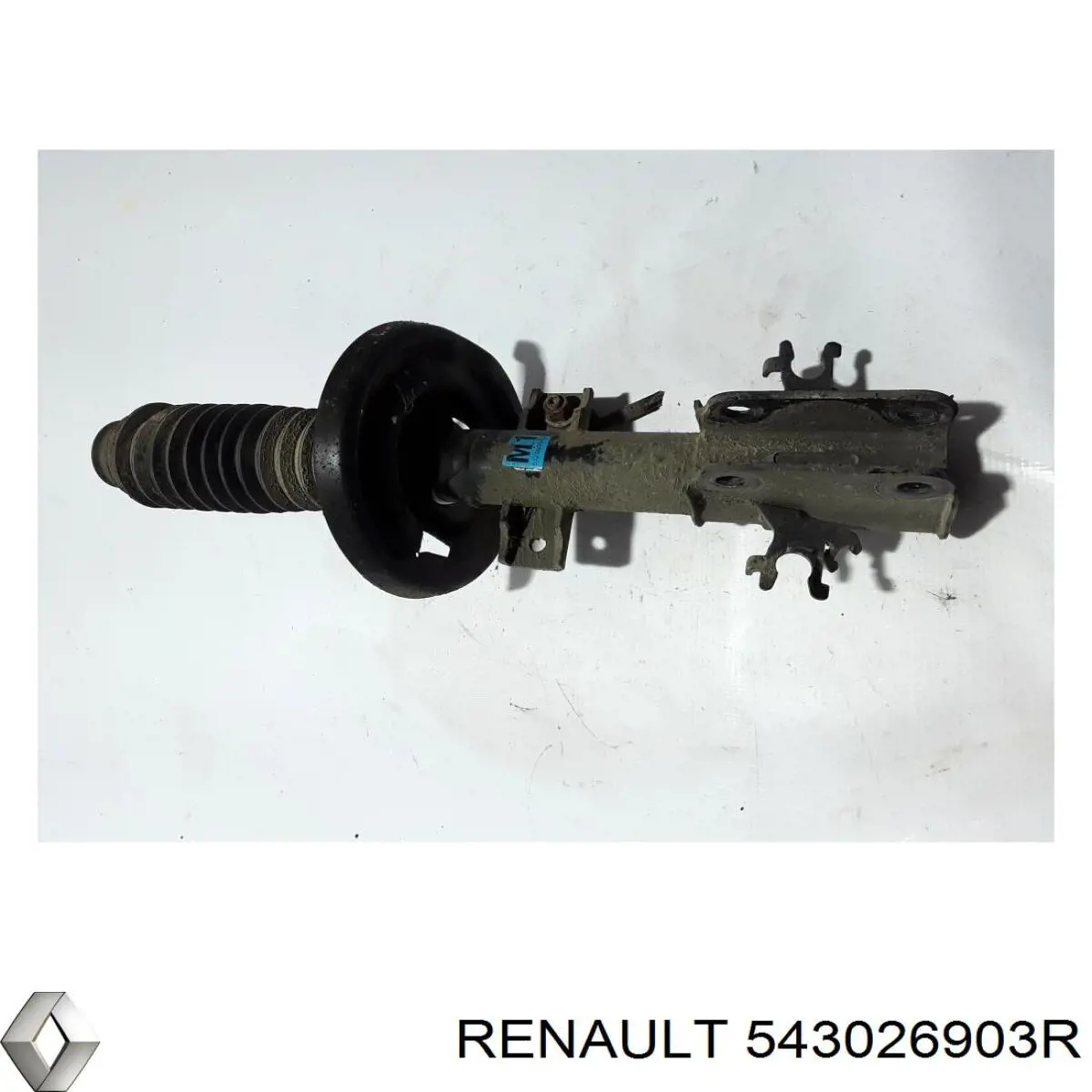 Amortyzator przedni prawy Renault (RVI) 543026903R cena, od 129,56 USD