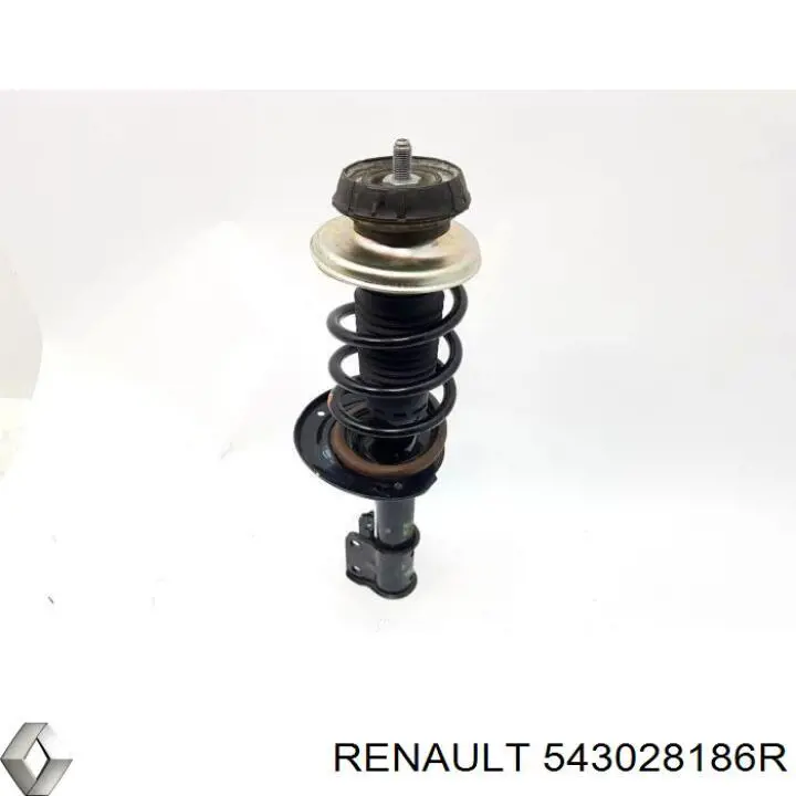 Amortyzator przedni Renault (RVI) 543028186R cena, od 64,07 USD