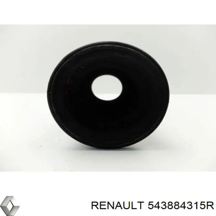 543884315R Renault (RVI) Osłona amortyzatora przedniego