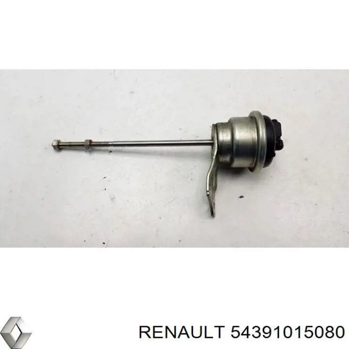 Do koszyka 54391015080 Renault (RVI) Turbina