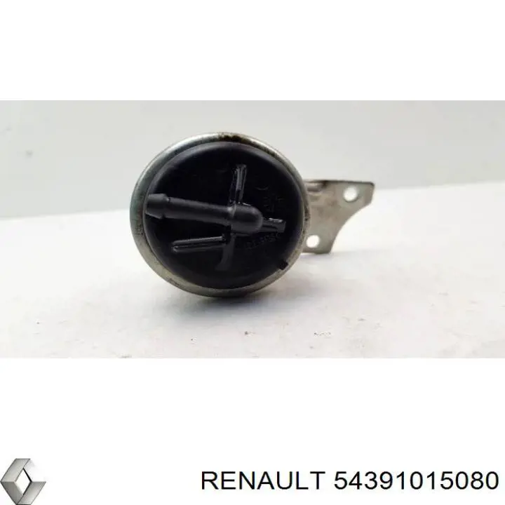 Do koszyka 54391015080 Renault (RVI) Turbina
