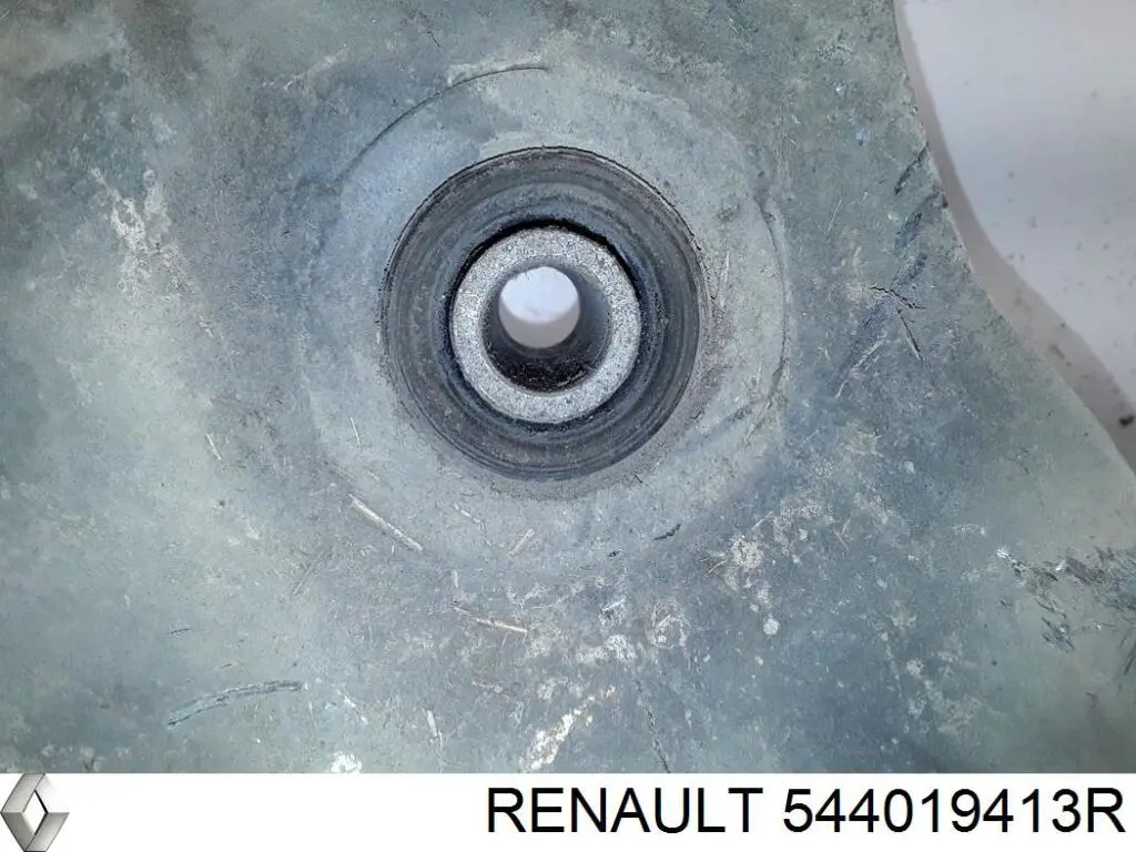  Renault (RVI) 544019413R cena, od 54,43 USD