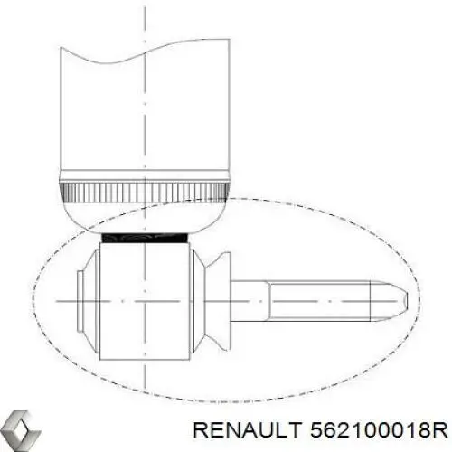 Do koszyka 562100018R Renault (RVI) Amortyzator tylny