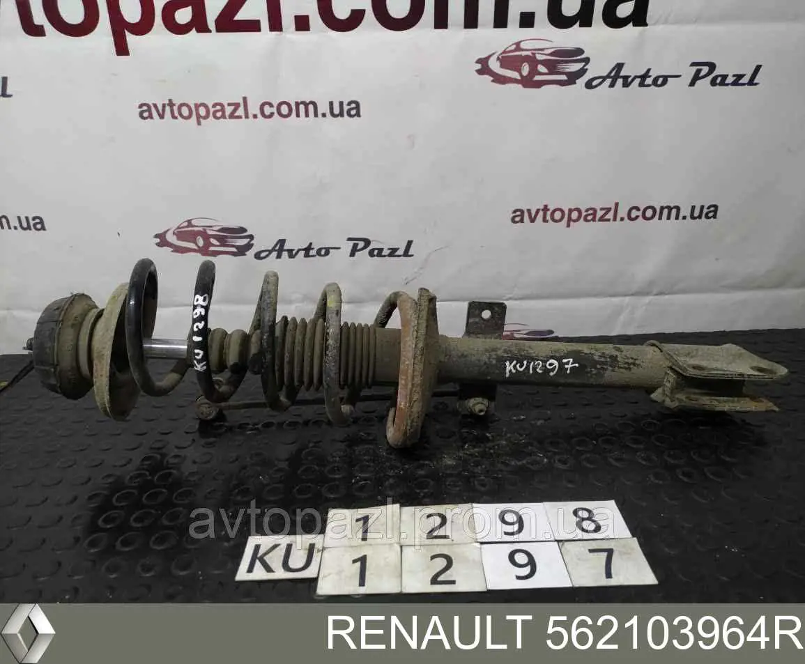 Amortyzator tylny Renault (RVI) 562103964R cena, od 76,22 USD