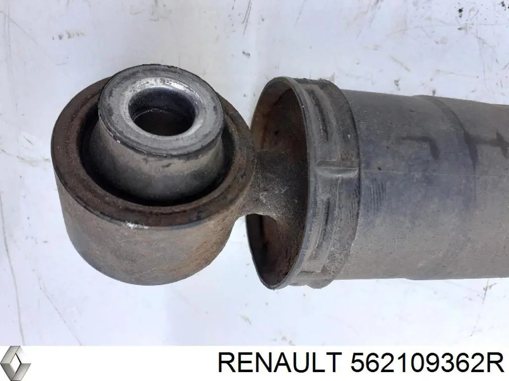 Do koszyka 562109362R Renault (RVI) Amortyzator tylny