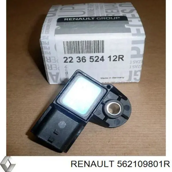 Amortyzator tylny prawy 562109801R Renault (RVI)