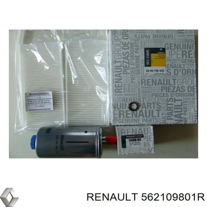 Amortyzator tylny prawy Renault (RVI) 562109801R cena, od 243,47 USD