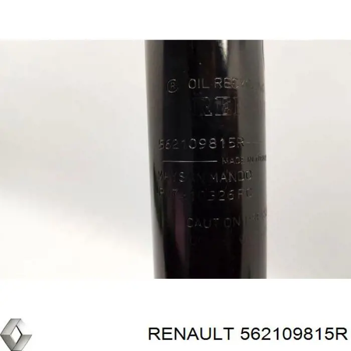 Amortyzator tylny Renault (RVI) 562109815R cena, od 36,91 USD