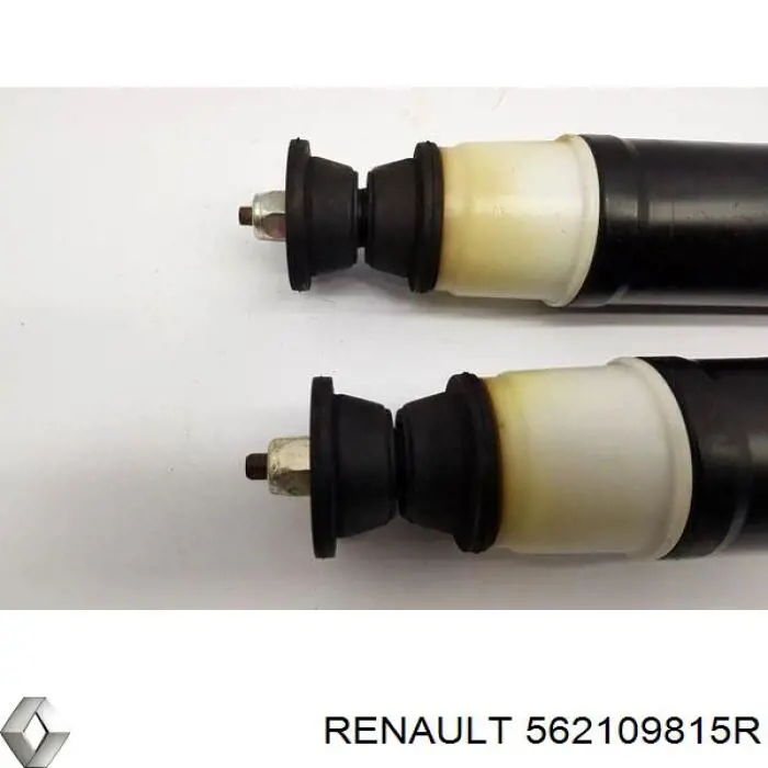 562109815R Renault (RVI) Amortyzator tylny