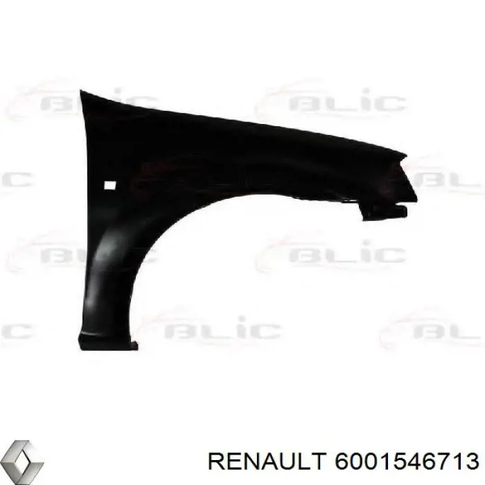Do koszyka 6001546713 Renault (RVI) Błotnik przedni prawy