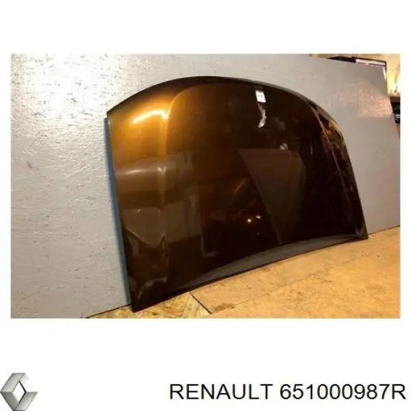 Maska silnika Renault (RVI) 651000987R cena, od 232,88 USD