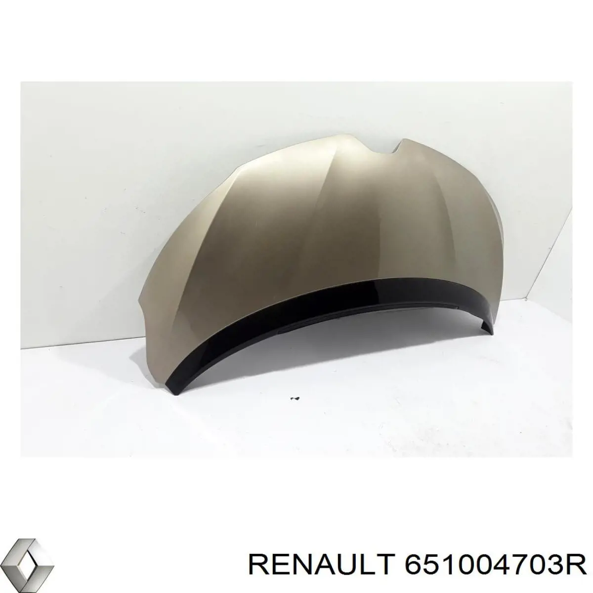 Maska silnika Renault (RVI) 651004703R cena, od 719,55 USD