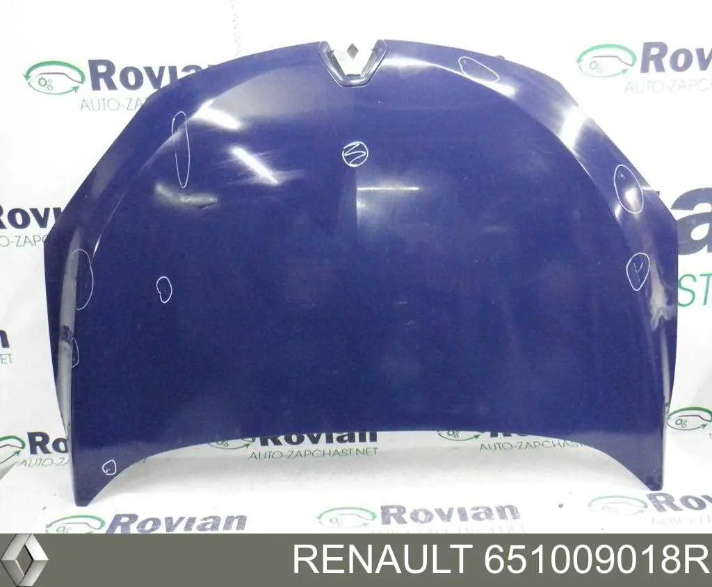 Maska silnika 651009018R Renault (RVI)
