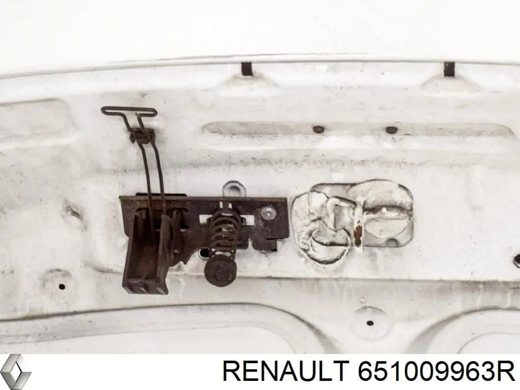Maska silnika Renault (RVI) 651009963R cena, od 463,10 USD