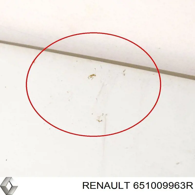 Do koszyka 651009963R Renault (RVI) Maska silnika