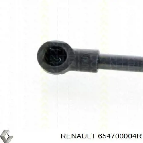 Amortyzator maski Renault (RVI) 654700004R cena, od 55,56 USD