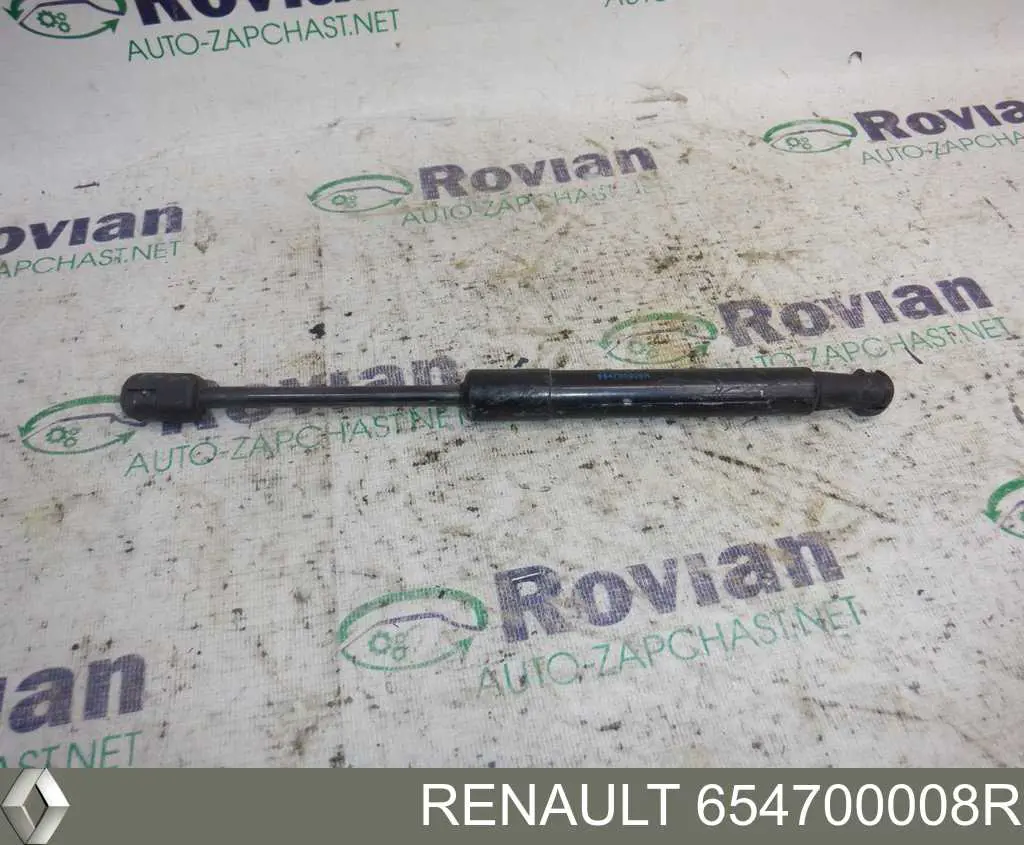 Amortyzator maski Renault (RVI) 654700008R cena, od 16,40 USD