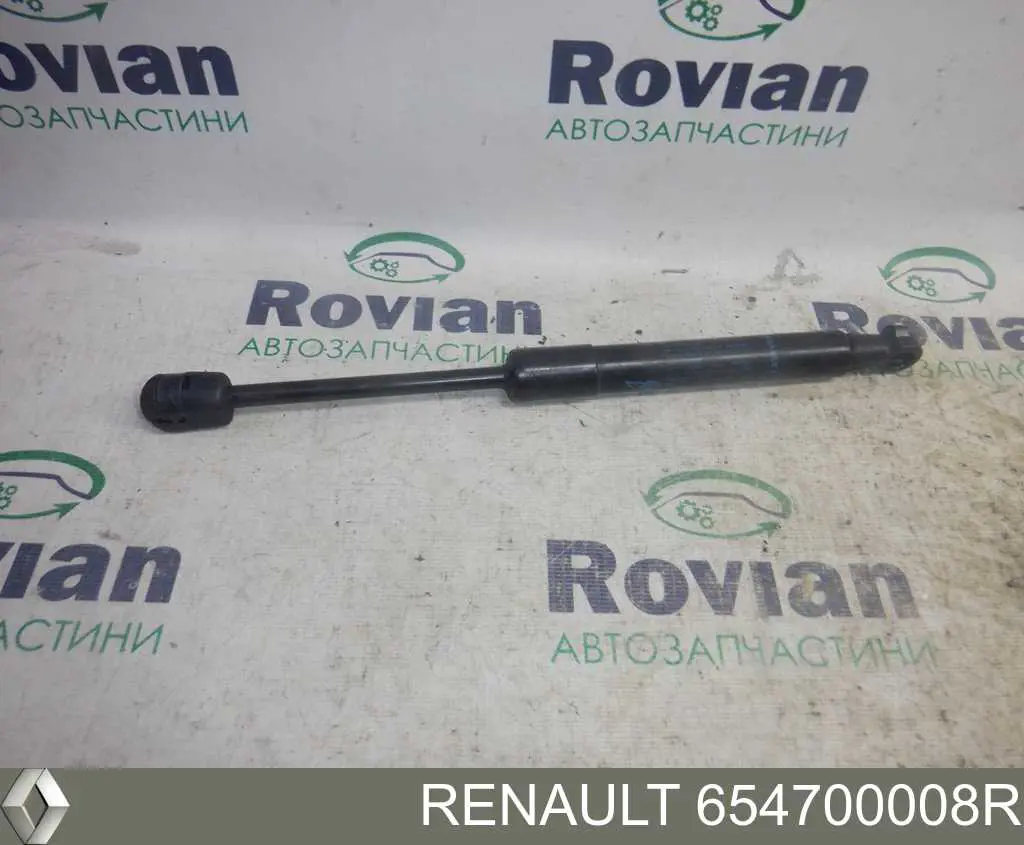 Amortyzator maski Renault (RVI) 654700008R cena, od 14,29 USD