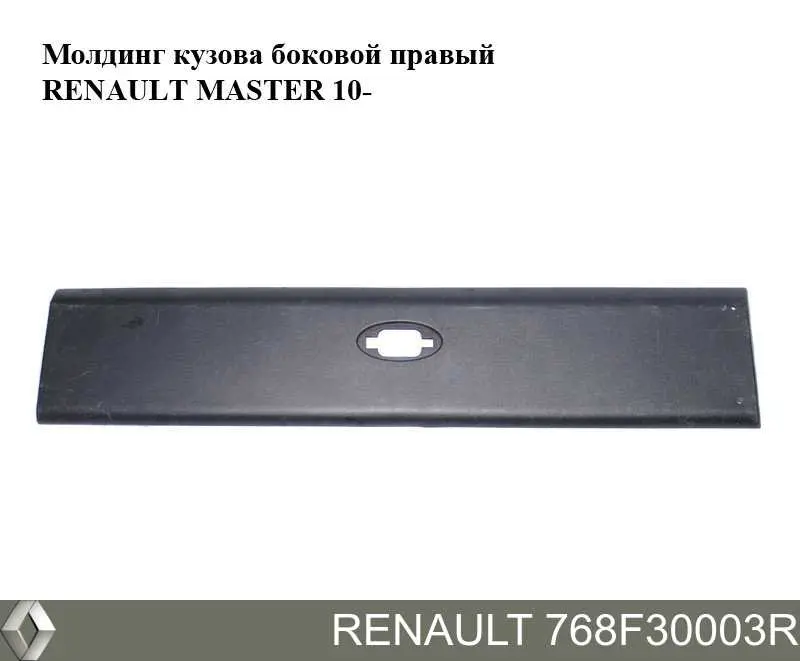 768F30003R Renault (RVI) Nakładka błotnika tylnego prawego