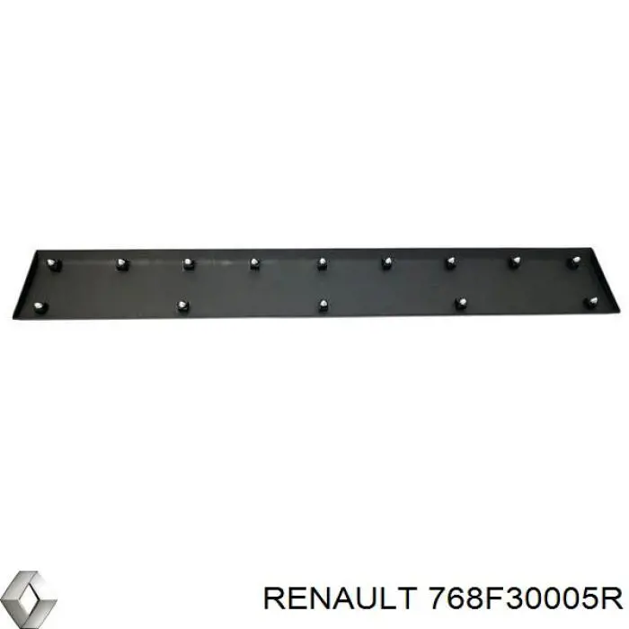 Listwa ochronna błotnika tylnego prawego Renault (RVI) 768F30005R cena, od 35,51 USD