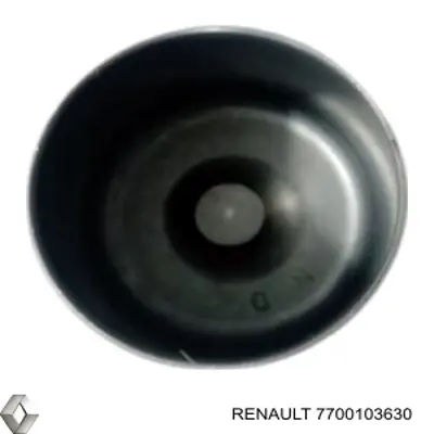 Kompensator hydrauliczny (popychacz hydrauliczny), popychacz zaworu Renault (RVI) 7700103630 cena, od 10,19 USD