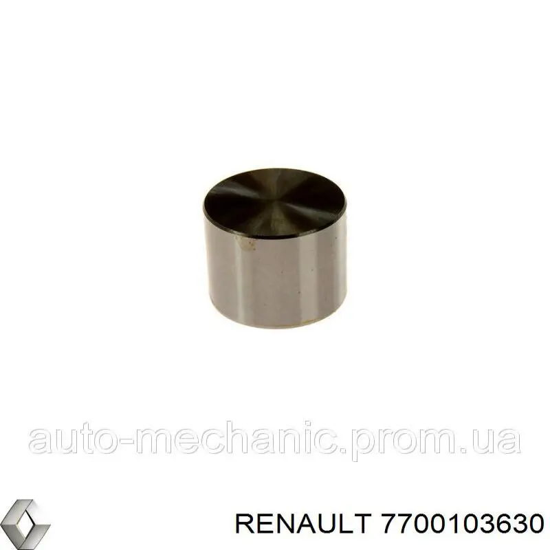 Kompensator hydrauliczny (popychacz hydrauliczny), popychacz zaworu Renault (RVI) 7700103630 cena, od 13,44 USD