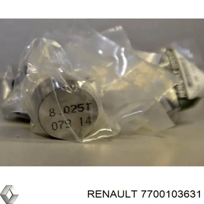 Kompensator hydrauliczny (popychacz hydrauliczny), popychacz zaworu Renault (RVI) 7700103631 cena, od 6,94 USD