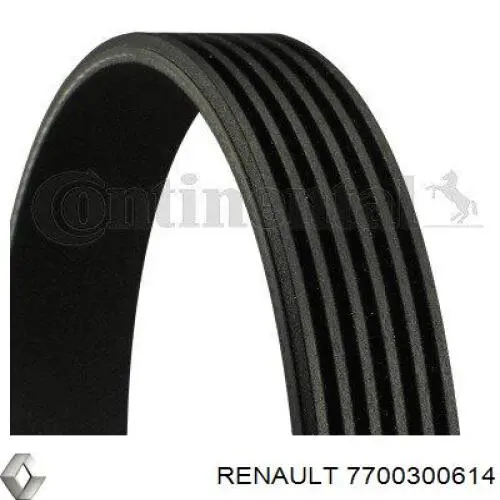 117208598R Renault (RVI) Pas napędowy mechanizmów