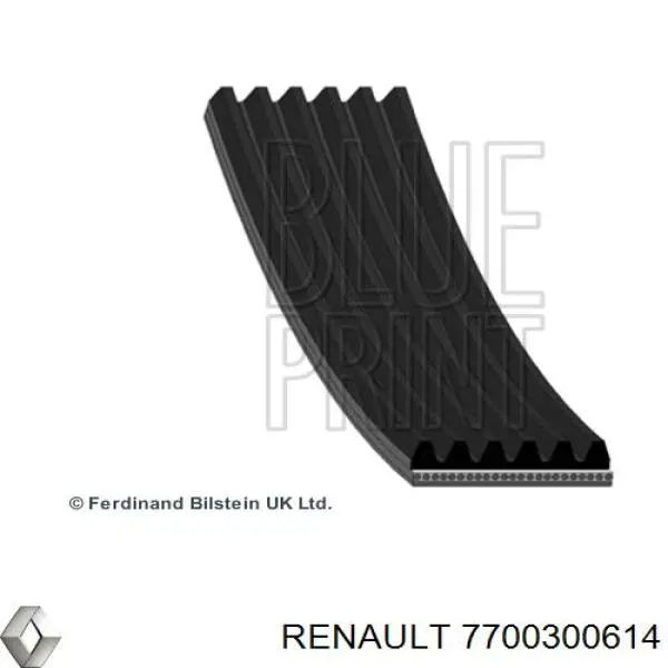 Do koszyka 117208598R Renault (RVI) Pas napędowy mechanizmów