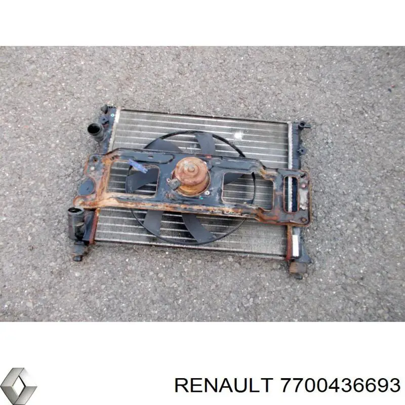 Do koszyka 7700436693 Renault (RVI) Chłodnica silnika