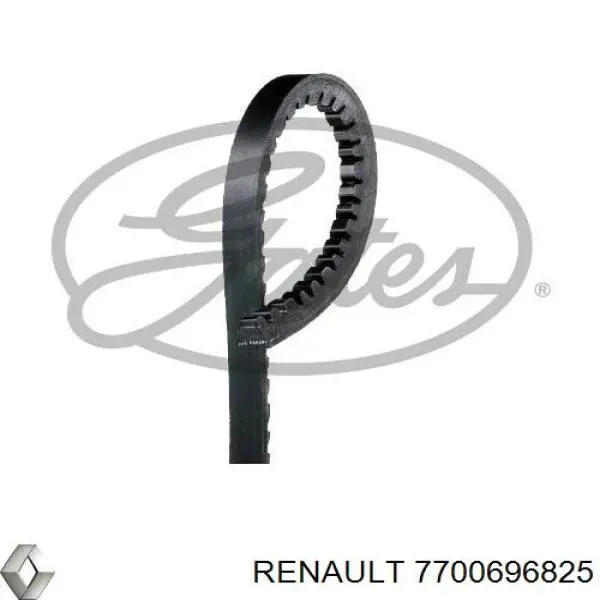Do koszyka 7700749099 Renault (RVI) Pas napędowy mechanizmów