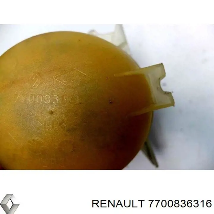 Zbiorniczek wyrównawczy układu chłodzenia Renault (RVI) 7700836316 cena, od 16,22 USD