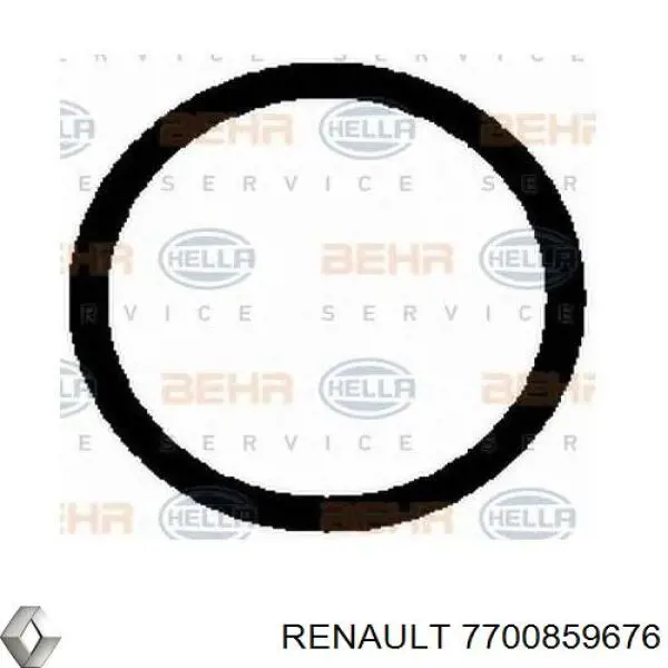 7700859676 Renault (RVI) Sprężarka klimatyzacji