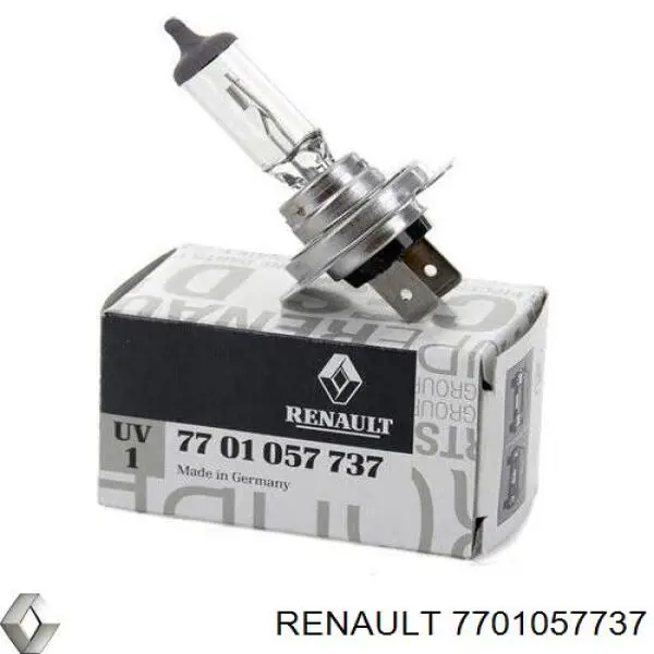 7701057737 Renault (RVI) Żarówka halogenowa