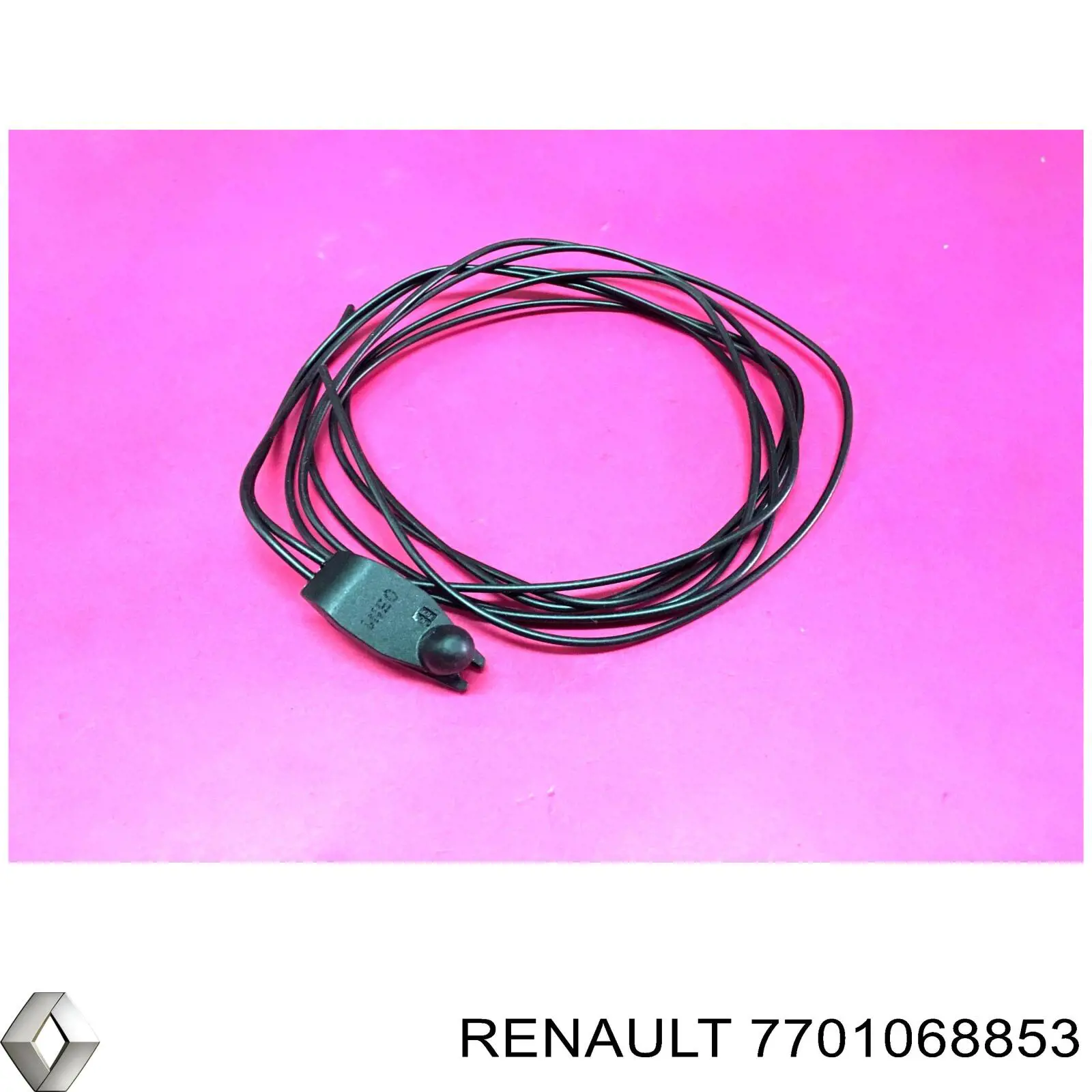 Czujnik temperatury zewnętrznej do Renault Kangoo II FW0