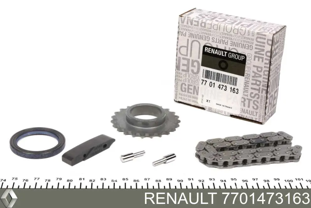 7701473163 Renault (RVI) Łańcuch pompy oleju, zestaw