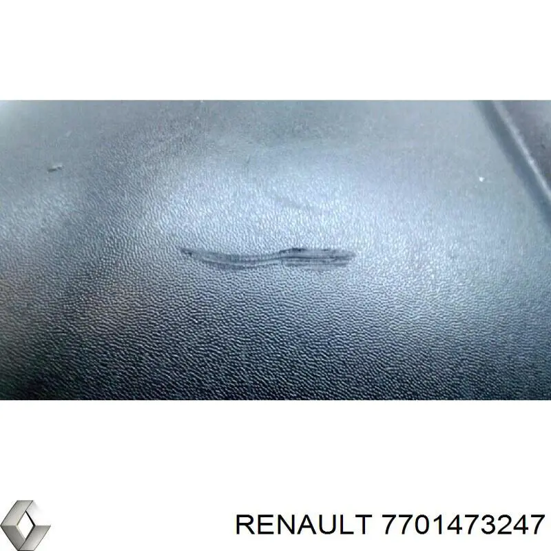 Do koszyka 7701473247 Renault (RVI) Lusterko wsteczne prawe