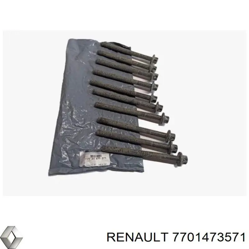 Do koszyka 7701473571 Renault (RVI) Śruba głowicy cylindrów