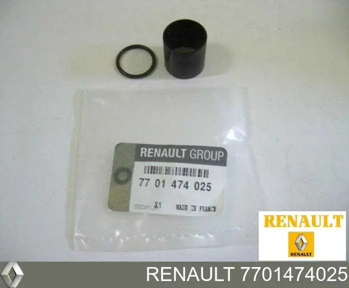 Do koszyka 1661300QAA Renault (RVI) Zestaw naprawczy wtryskiwacza