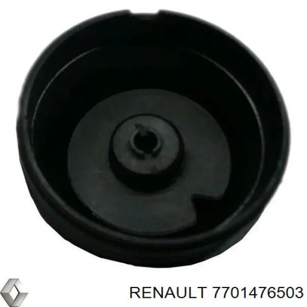 Pokrywa filtra oleju Renault (RVI) 7701476503 cena, od 12,53 USD