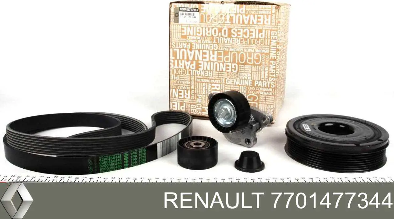 7701477344 Renault (RVI) Pasek napędowy mechanizmów, zestaw