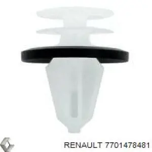 Do koszyka 7701478481 Renault (RVI) Tłok, komplet do jednego cylindru, STD