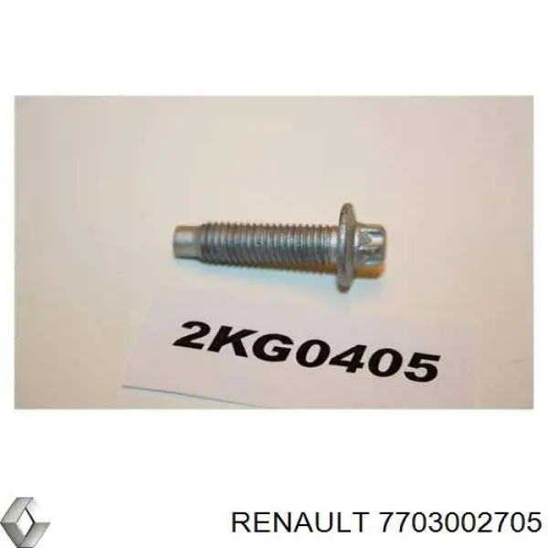 Śruba miski silnika Renault (RVI) 7703002705 cena, od 3,19 USD