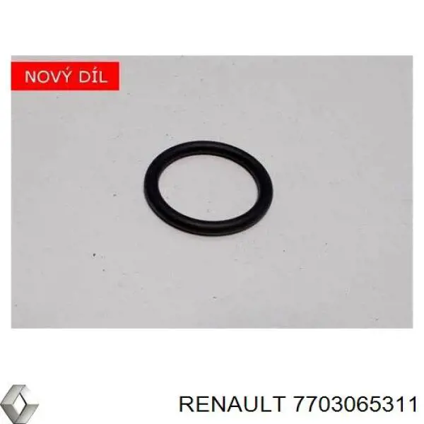 Do koszyka 7703065311 Renault (RVI) Uszczelniacz króćca pompy