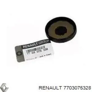 Zaślepka głowicy cylindrów/bloku cylindrów Renault (RVI) 7703075328