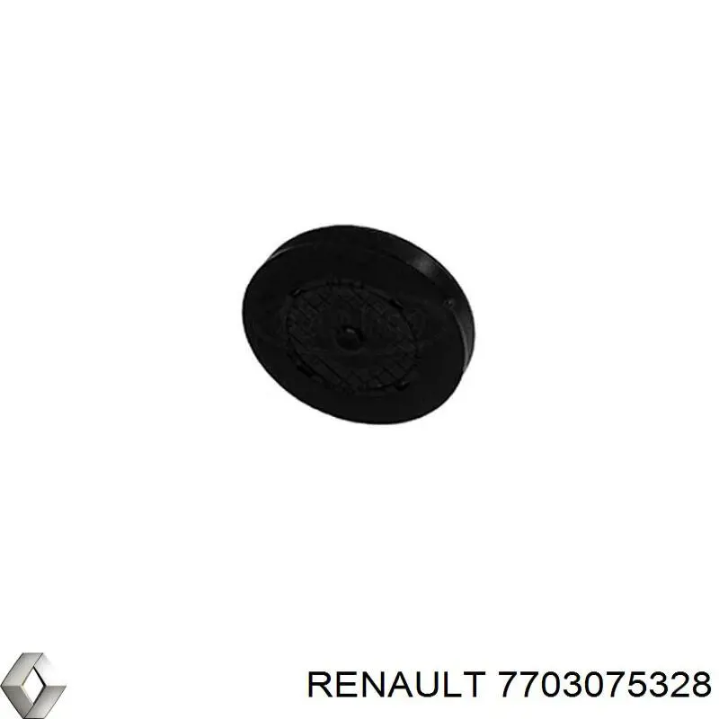 Zaślepka głowicy cylindrów/bloku cylindrów 7703075328 Renault (RVI)