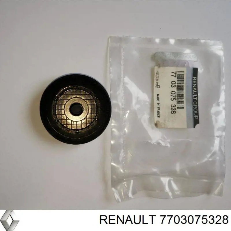 Zaślepka głowicy cylindrów/bloku cylindrów Renault (RVI) 7703075328 cena, od 5,52 USD